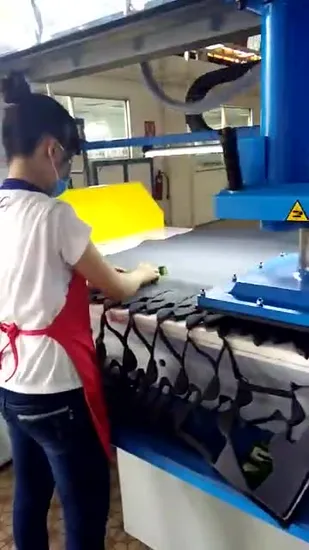 25T Hydraulic Traveling Head Cutting Machine/Cutting Press/Punching Machine/Die Cutting Machine 